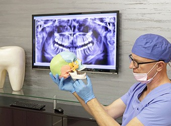 Dentist looking at model of human skull with X-ray displayed in background