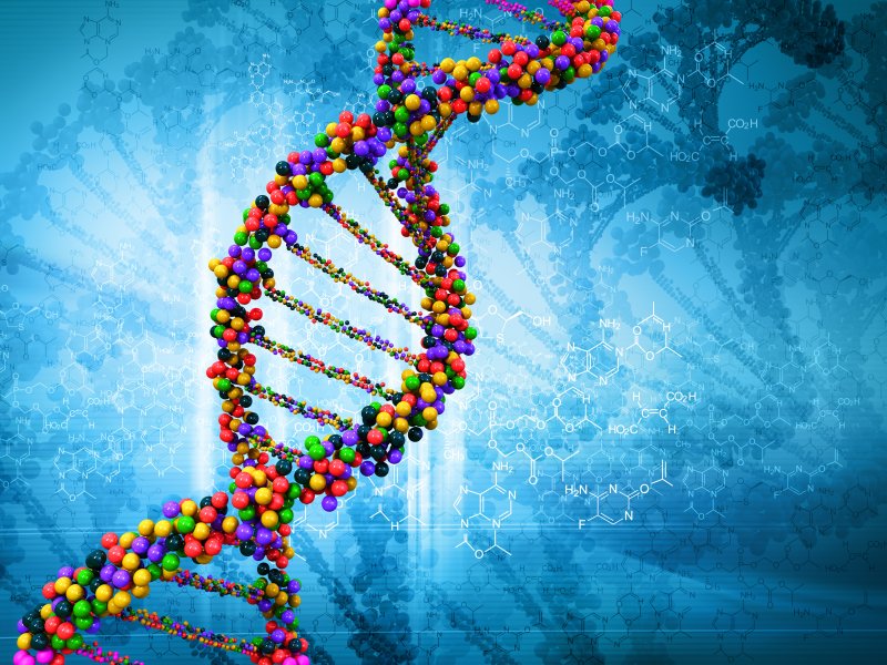 graphic of a DNA strand